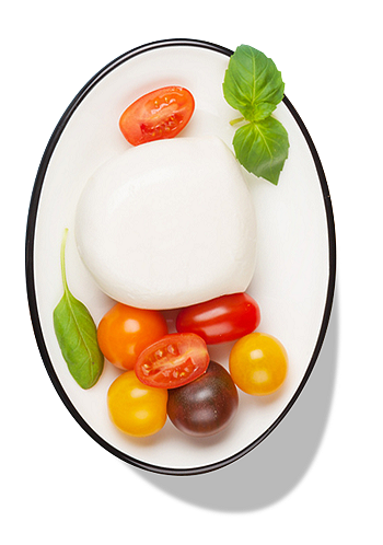 Mozzarella di Bufala